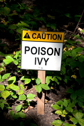 poison-ivy-5